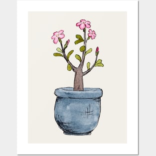Desert Rose Potted Plant Posters and Art